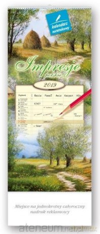 Kalendarz 2019 notatnikowy Impresje Polskie WN1 [KALENDARZ]