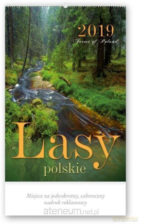 Kalendarz 2019 Reklamowy Lasy Polskie RW3 [KALENDARZ]