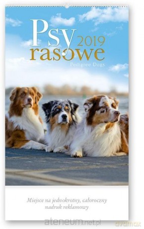 Kalendarz 2019 Reklamowy Psy rasowe RW23 [KALENDARZ]