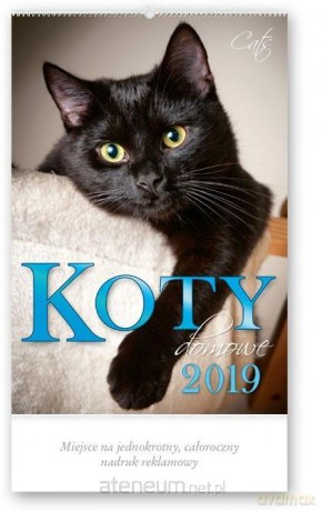 Kalendarz 2019 Reklamowy Koty domowe RW24 [KALENDARZ]