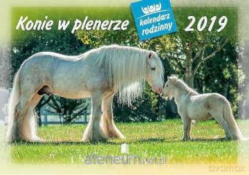 Kalendarz 2019 Rodzinny Konie w plenerze WL10 [KALENDARZ]