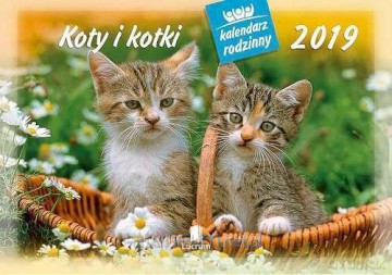 Kalendarz 2019 Rodzinny Koty i kotki WL9 [KALENDARZ]