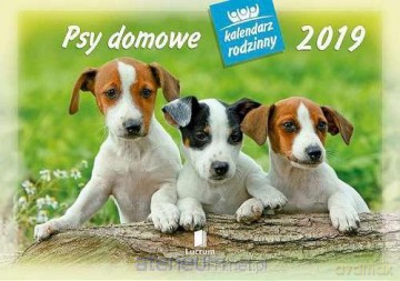 Kalendarz 2019 Rodzinny Psy domowe WL8 [KALENDARZ]