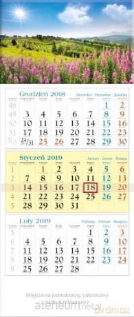 Kalendarz 2019 Trójdzielny Podhale KT6 [KALENDARZ]