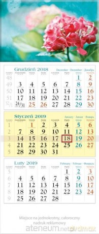 Kalendarz 2019 Trójdzielny Kwiaty KT15 [KALENDARZ]