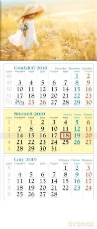 Kalendarz 2019 Trójdzielny Maja KT18 [KALENDARZ]