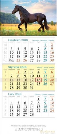 Kalendarz 2019 Trójdzielny Rumak KT19 [KALENDARZ]