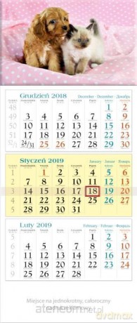 Kalendarz 2019 Trójdzielny Zwierzaki KT17 [KALENDARZ]