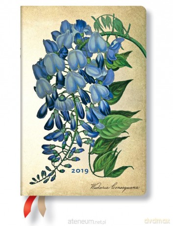 Kalendarz książkowy midi 2019 12M Blooming Wister [KALENDARZ]