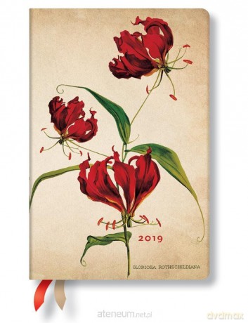 Kalendarz książkowy midi 2019 12M Gloriosa Lily [KALENDARZ]