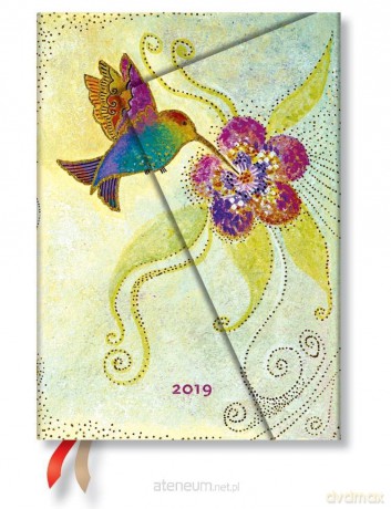 Kalendarz książkowy midi 2019 12M Hummingbird [KALENDARZ]
