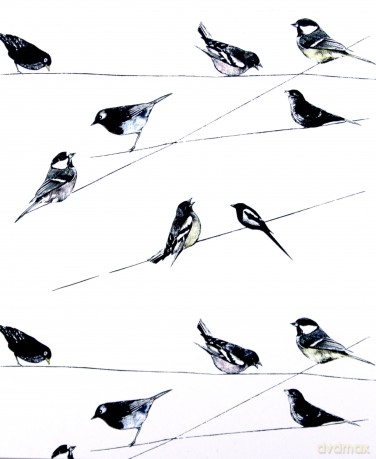 Karnet 17x14cm z kopertą Garden Birds wallpaper