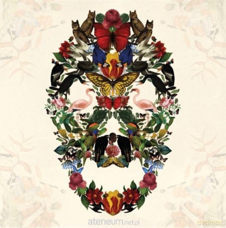 Karnet kwadrat z kopertą Skull of Life