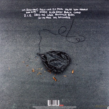 Amity Affliction: Misery [Winyl]