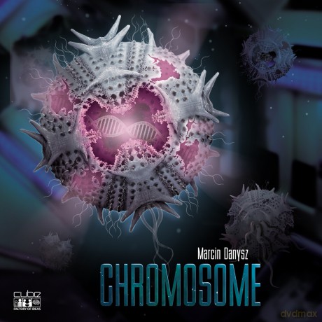 Chromosome edycja polska [GRA]