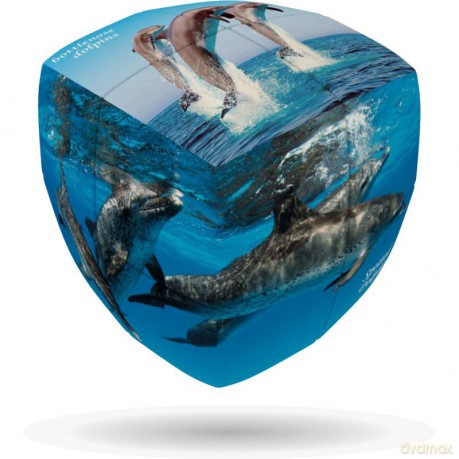 V-Cube 2 Delfiny 2x2x2 wyprofilowana [GRA]