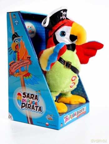Papuga pirata duża