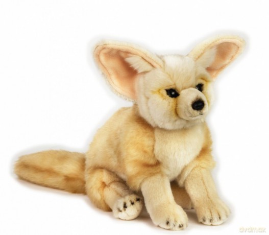 Pluszak National Geographic Fenek 24 cm