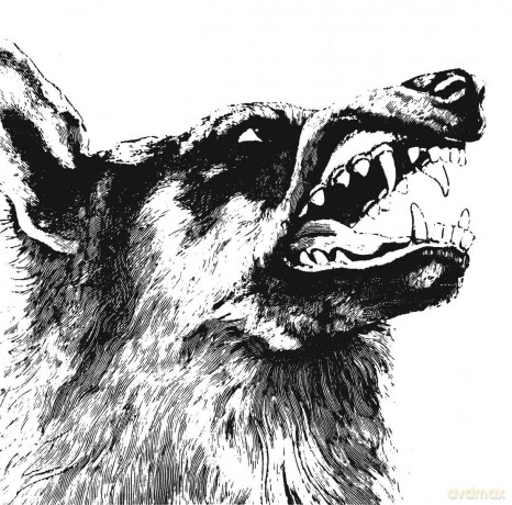 Crippled Black Phoenix: I Vigilante (digipack) [CD]