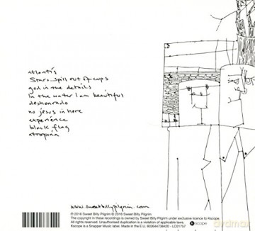 Sweet Billy Pilgrim: We Just Did What Happened And No One Came (digipack) [CD]