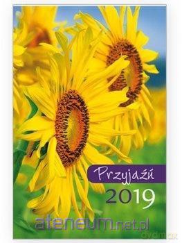 Kalendarz 2019 kieszonkowy - Przyjaźń 3 [KALENDARZ]