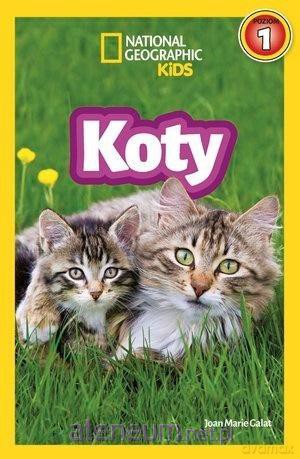 National Geographic Kids. Koty. Poziom 1 [KSIĄŻKA]