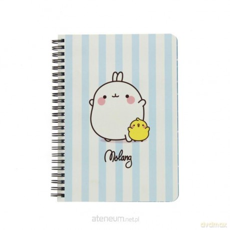 Notatnik A5 Molang