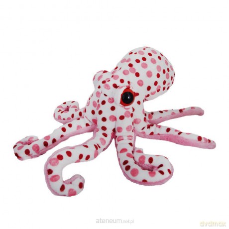 Ośmiornica biała 30 cm