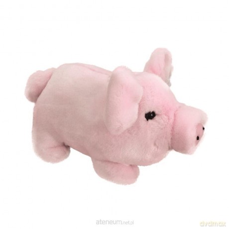 Świnka domowa 26 cm