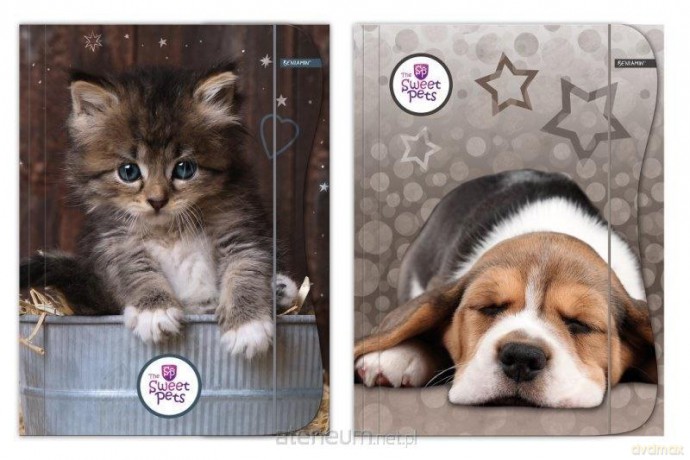 Teczka z gumką A4 Sweet Pets mix wzorów