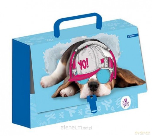 Teczka z rączką walizeczka duża Sweet Pets