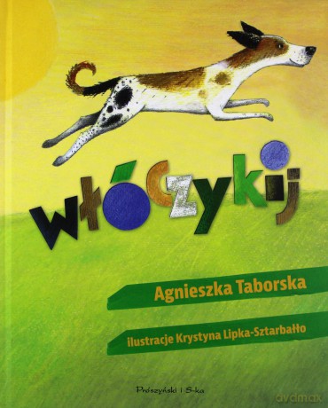 Włóczykij - Agnieszka Taborska [KSIĄŻKA]