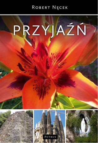 Przyjaźń - Robert Nęcek [KSIĄŻKA]