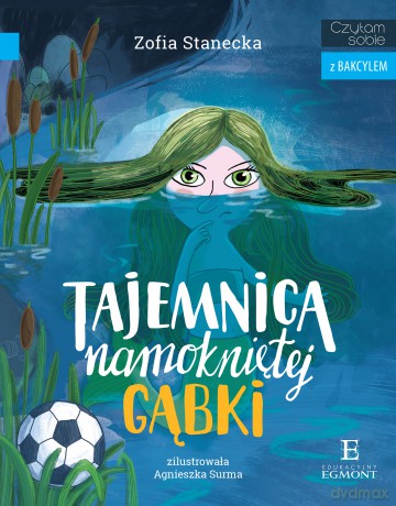 Tajemnica namokniętej gąbki. Czytam sobie z bakcylem - Zofia Stanecka [KSIĄŻKA]