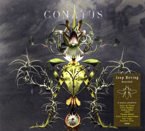 Joep Beving: Conatus [CD]