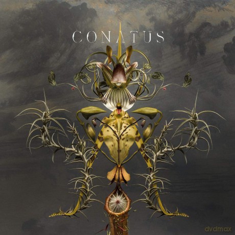Joep Beving: Conatus [2xWinyl]