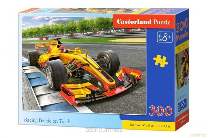 CASTORLAND 300 el. Racing Bolide on Track [PUZZLE]