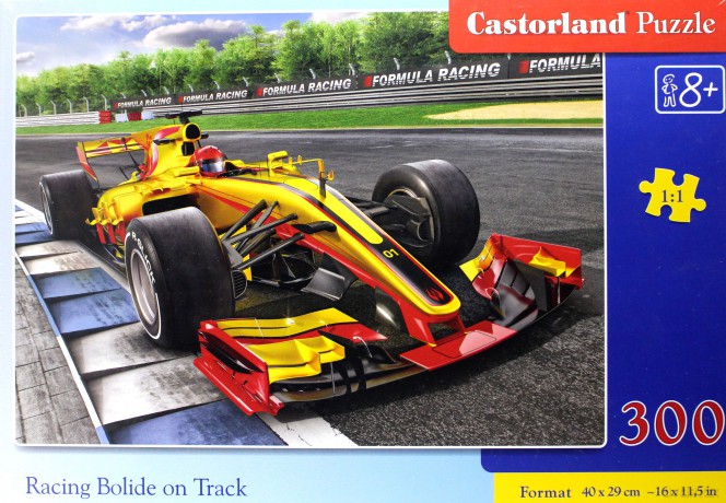 CASTORLAND 300 el. Racing Bolide on Track [PUZZLE]