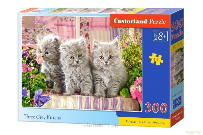 CASTORLAND 300 el. Three Grey Kittens [PUZZLE]
