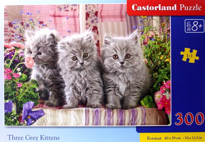 CASTORLAND 300 el. Three Grey Kittens [PUZZLE]