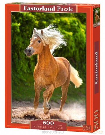 CASTORLAND 500 el. Running Haflinger [PUZZLE]