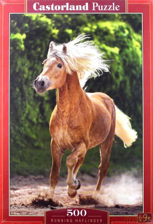 CASTORLAND 500 el. Running Haflinger [PUZZLE]