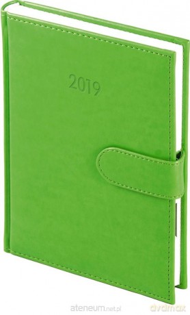 Kalendarz 2019 A5 Dzienny Nebraska magnes Seledyn [KALENDARZ]
