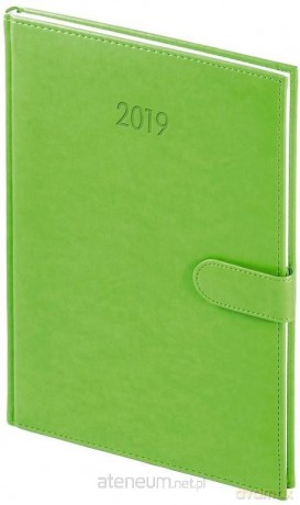 Kalendarz 2019 B5 Tygodniowy Nebraska magnes Seledyn [KALENDARZ]