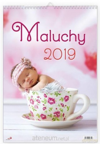 Kalendarz 2019 Maluchy [KALENDARZ]