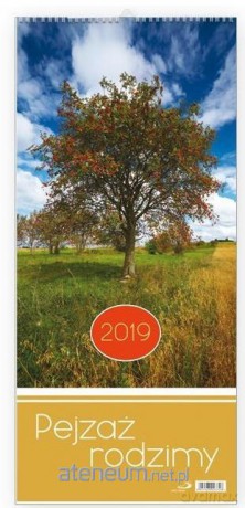 Kalendarz 2019 Pejzaż rodzimy [KALENDARZ]