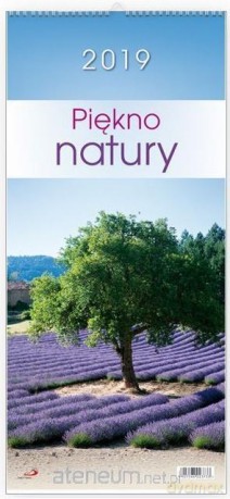Kalendarz 2019 Piękno natury [KALENDARZ]