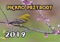 Kalendarz 2023 Rodzinny - Piękno przyrody [KALENDARZ]