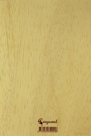 Karnet drewniany C6 + koperta Rower retro