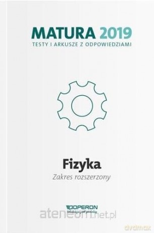 Matura 2019 Fizyka. Testy i arkusze zakres rozszerzony [KSIĄŻKA]